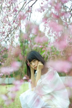 枪花免费观看完整电视剧全集